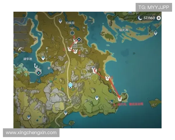 如何安全高效地使用星空电子入口：保障账号安全的详细操作流程